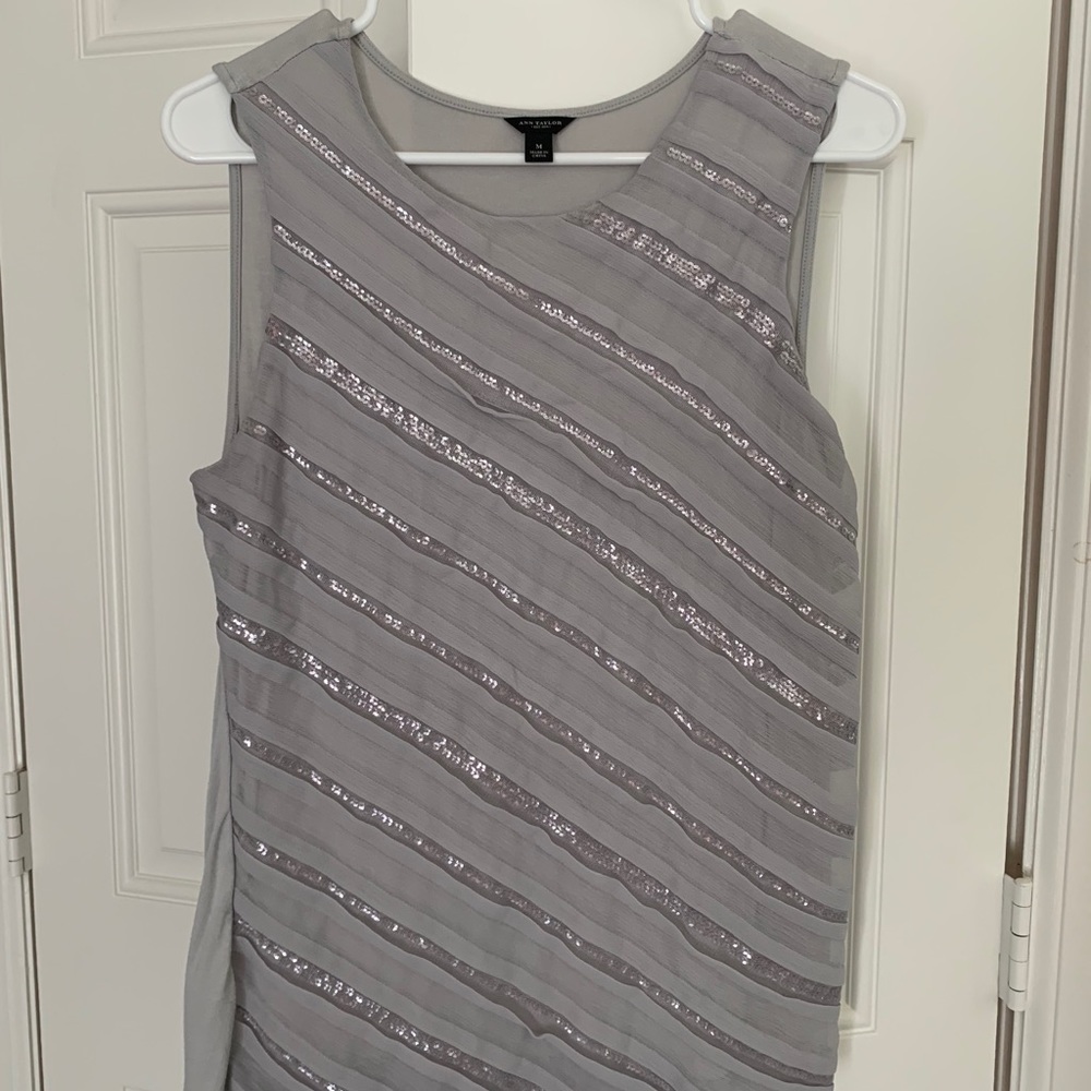 Ann Taylor Camisole Tank Top Medium Sheer